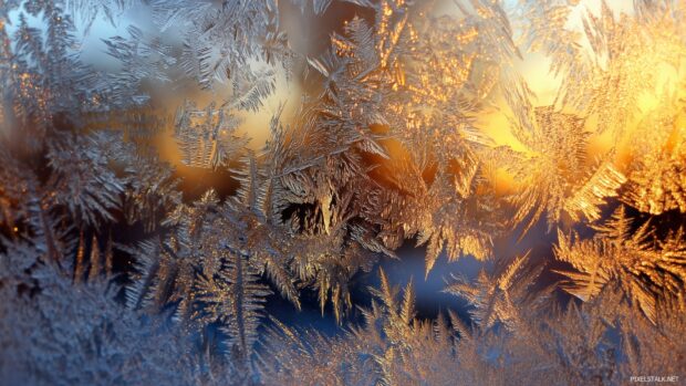 Frosty window panes with intricate patterns showcasing the warmth of the season for xmas wallpapers free download.