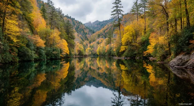 Golden Fall trees surrounding a peaceful lake in the Great Smoky Mountains during peak color season.