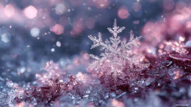 Gorgeous snowflake wallpaper hd designed for those who appreciate seasonal beauty on their devices.