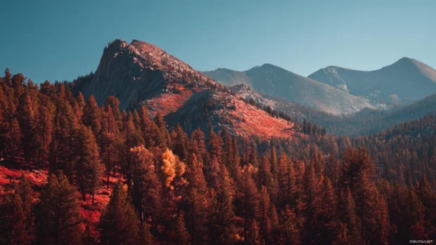 HD fall desktop wallpaper featuring rocky mountain ridge lined by red golden fall forest under clear sky.