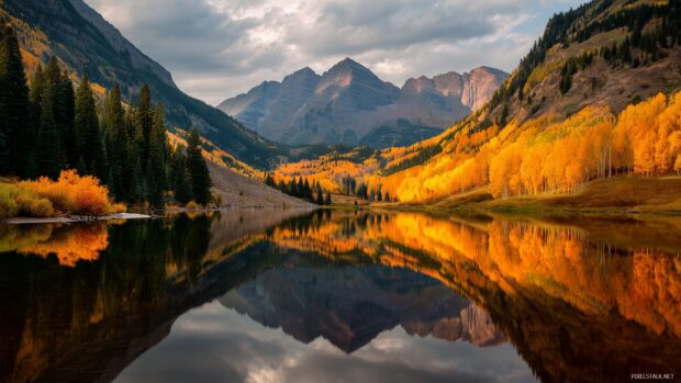 Hd wallpapers of aspen trees, Vibrant fall foliage of aspen trees reflected in a still lake surrounded by mountains.