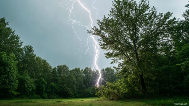 High Definition Lightning Desktop Wallpaper, A real life capture of lightning striking a tree in a lush forest during a thunderstorm.