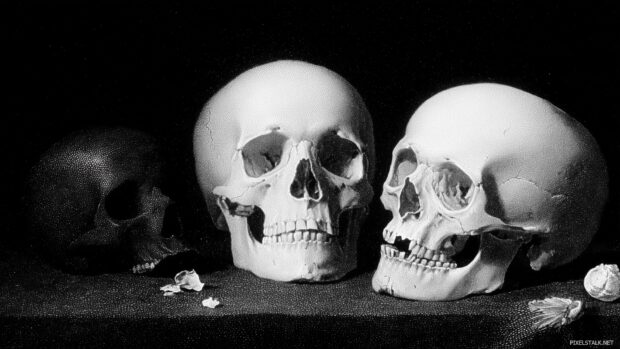 High resolution skull wallpapers free capturing the essence of classic horror film aesthetics.