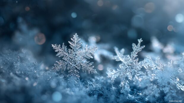 High resolution snowflake wallpaper hd showcasing delicate blue snowflakes on a frosty background.