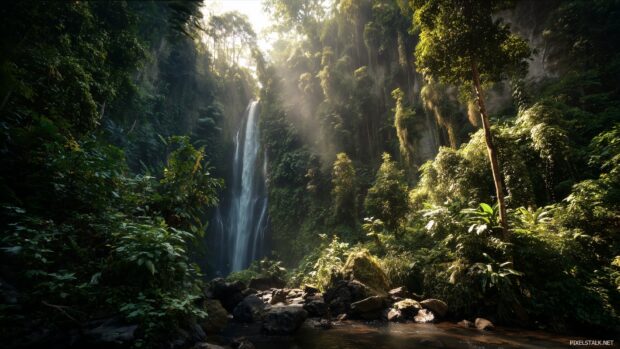 High resolution wallpaper hd highlighting a majestic waterfall surrounded by a lush tropical jungle, sparkling in the sunlight.