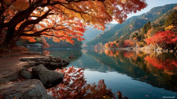 Japan nature HD wallpapers immersing in a serene lake scene with autumn leaves reflecting on the water.