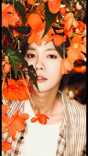 Jinu Wallpaper Aesthetic with Vibrant Orange Flowers.