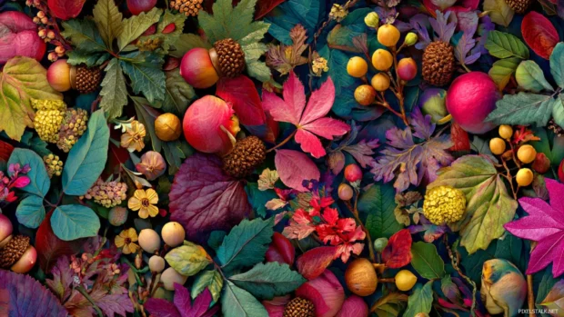 Laptop wallpaper autumn foliage collage blending berries, acorns and colorful leaves on textured canvas.