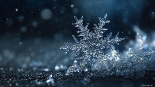 Lively snowflake wallpaper hd with a focus on unique patterns and textures for desktop backgrounds.