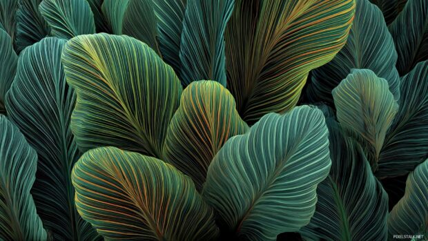 Lush jungle foliage desktop backgrounds featuring intricate leaf patterns and textures.