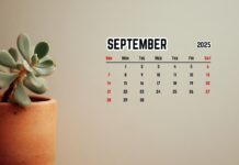 Minimal September 2025 Calendar HD Wallpapers (2).