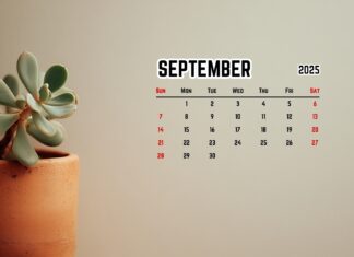 Minimal September 2025 Calendar HD Wallpapers (2).