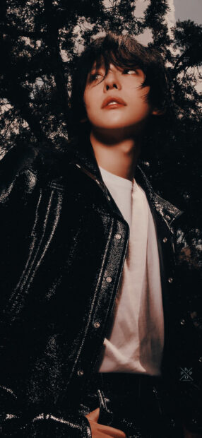 Moody Jinu Wallpaper Capturing Emotive Style in Nature.