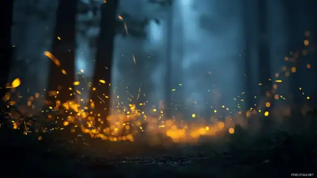 Moving background hd of glowing fireflies dancing over misty forest clearing at dusk.