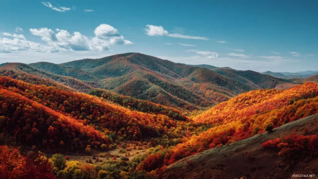 Nature fall scenery wallpapers dominated by hills blanketed in colorful foliage under a clear blue sky.