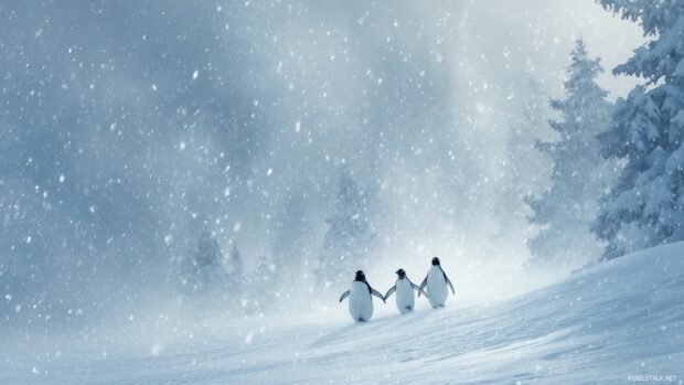 Penguin Desktop Backgrounds, An enchanting snowfall scene where penguins playfully chasing each other in the snow.