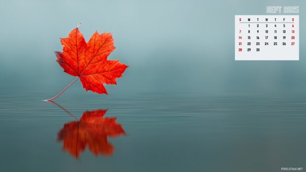 September 2025 Calendar Backgrounds – Fall Vibes for Your Screen (1).
