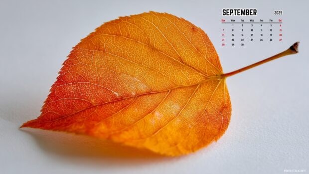 September 2025 Calendar Backgrounds – Fall Vibes for Your Screen (3).