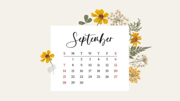 September 2025 Calendar Desktop Backgrounds – Free HD Wallpapers to Stay Organized (6).