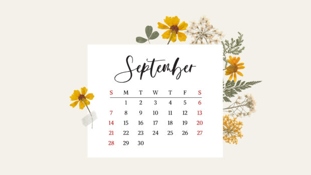 September 2025 Calendar Desktop Backgrounds – Free HD Wallpapers to Stay Organized (6).