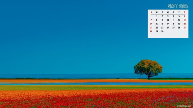 September 2025 Calendar Wallpapers HD (2).