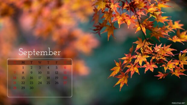 September 2025 Calendar Wallpapers for Desktop free download (1).