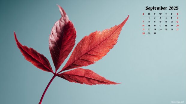 September 2025 Calendar Wallpapers for Desktop free download (4).