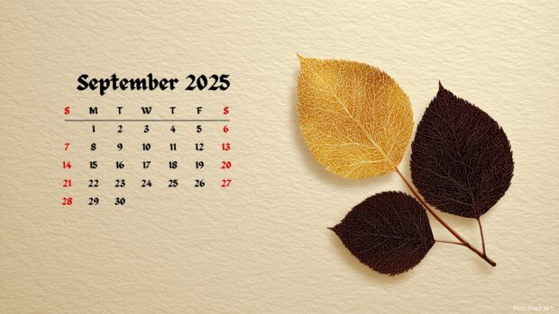 September 2025 Calendar Wallpapers – Beautiful & Free HD Downloads (4).