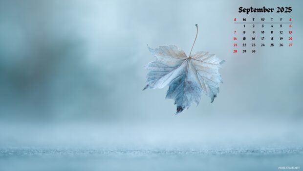 September 2025 Calendar Wallpapers – Beautiful & Free HD Downloads (6).