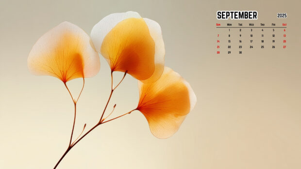 September 2025 Desktop Background with Fall leaves (10).
