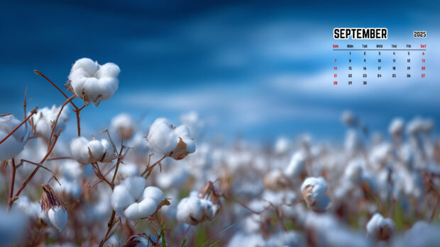 September 2025 calendar desktop backgrounds (1).