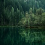 Serene lake surrounded by trees in dark green wallpapers hd