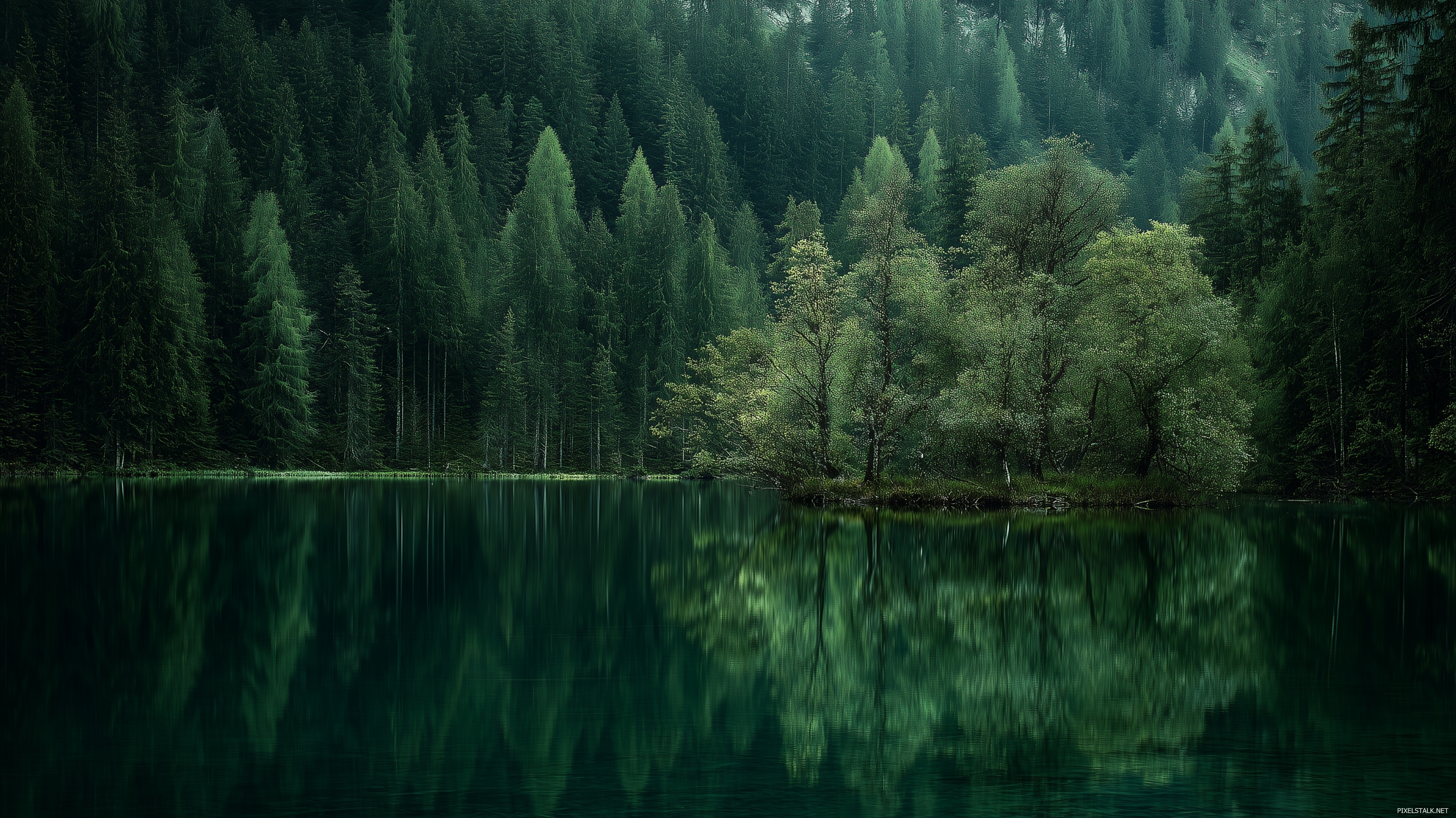 Serene lake surrounded by trees in dark green wallpapers hd.
