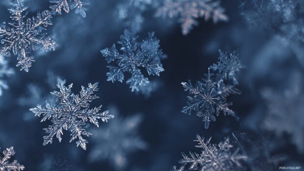 Snowflake wallpaper hd featuring elegant designs and intricate patterns for a cozy winter vibe.