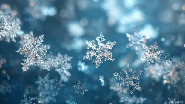 Snowflake wallpaper hd filled with harmonious designs, ideal for enhancing your digital experience.