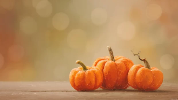Soft focus pumpkins placed on a horizontal layout with gentle overlays and subtle highlights.