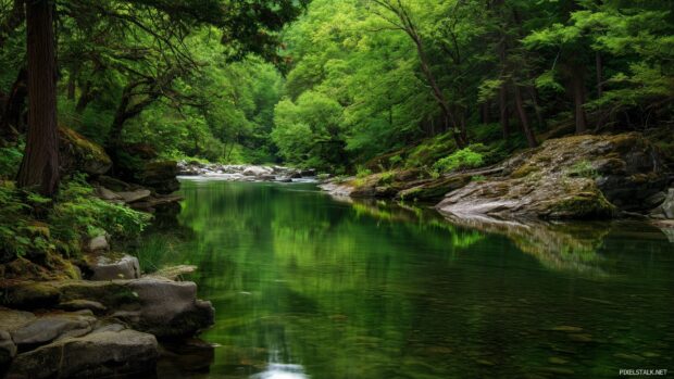 Tranquil green nature wallpapers hd featuring a serene river.