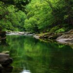 Tranquil green nature wallpapers hd featuring a serene river