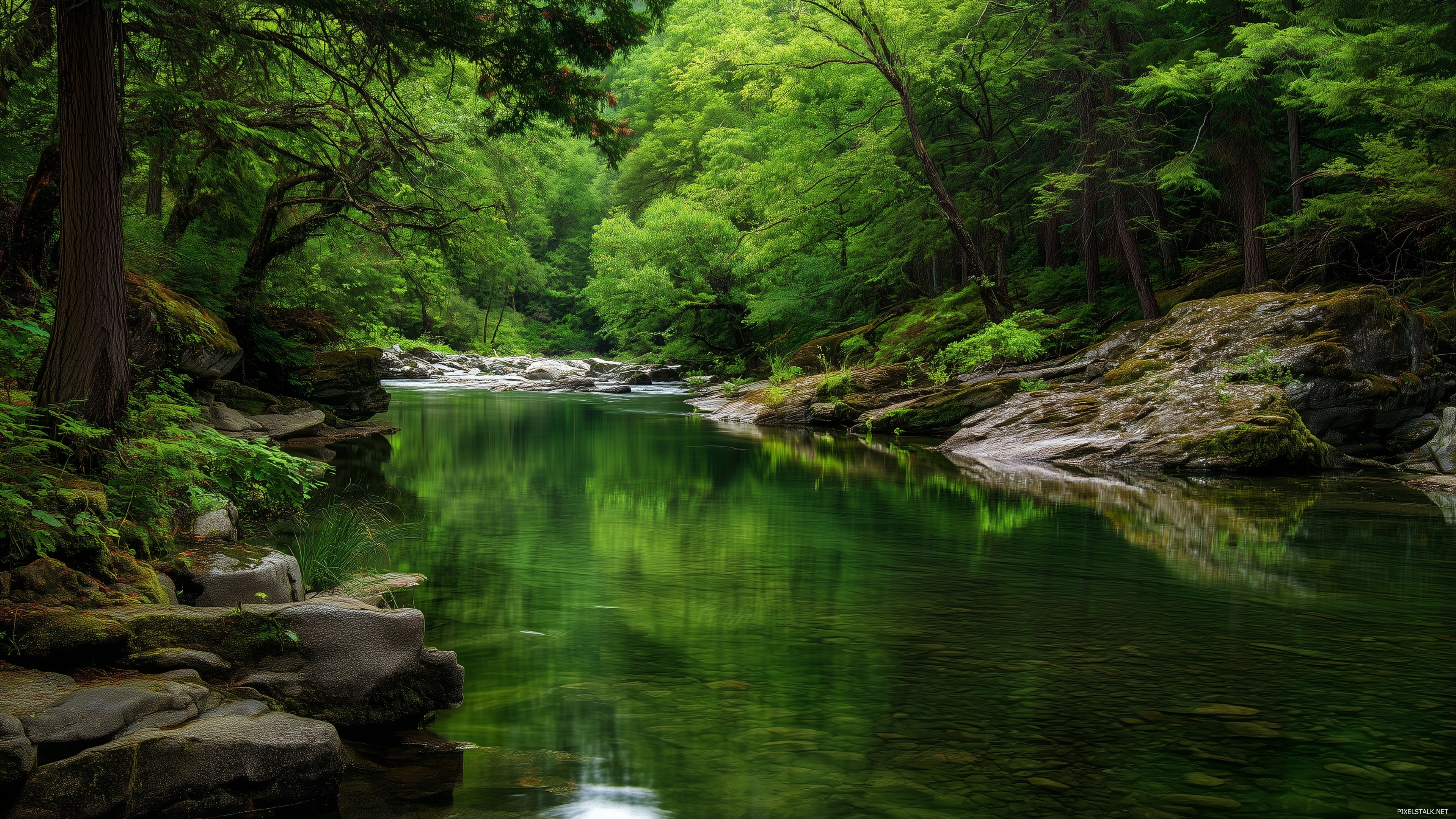 Tranquil green nature wallpapers hd featuring a serene river.