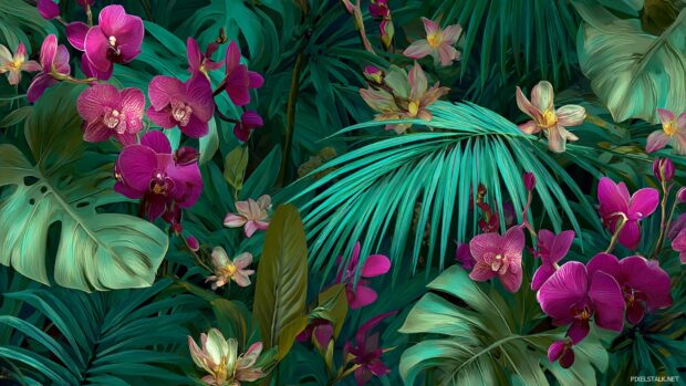 Tropical jungle desktop backgrounds with exotic plants and colorful orchids.