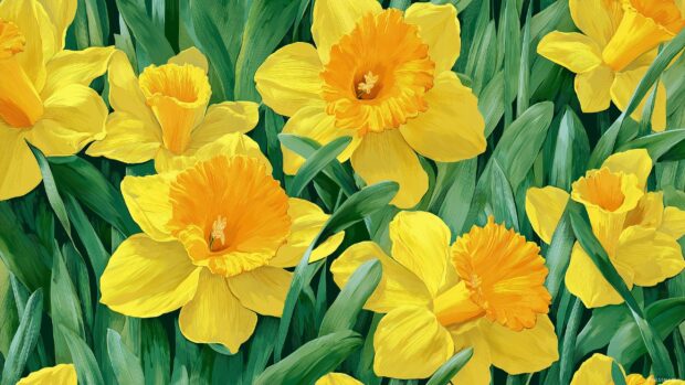 Vibrant daffodil wallpaper, A bright and cheerful pattern of large daffodils in full bloom, surrounded by lush green leaves, perfect for a lively decor.