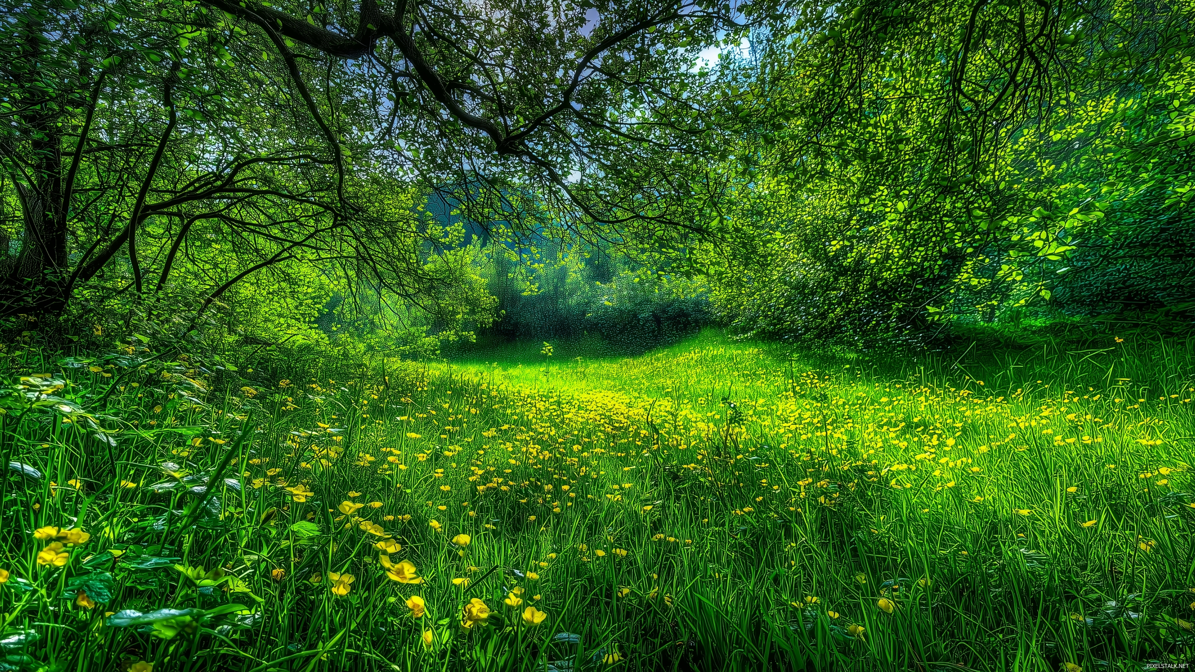 Vivid green wallpapers hd showcasing a vibrant meadow in springt.