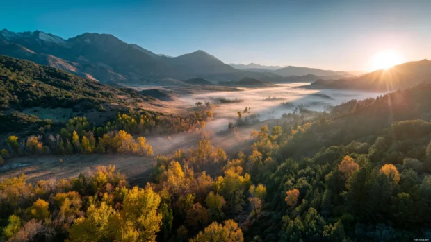 Wide angle 4K capture of a Fall sunrise over a foggy valley filled with golden trees.