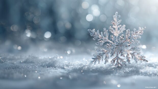 Winter wonderland snowflake wallpaper hd that brings serenity to your digital space.