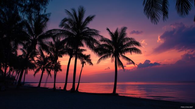 1920x1080 HD wallpaper nature landscape, a peaceful beach at sunset with palm trees silhouetted against the horizon.