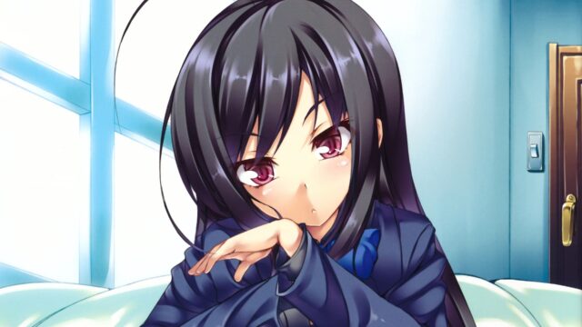 Accel World Anime Girl With Long Dark Hair Wallpaper