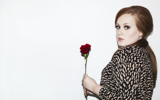 Adele is holding a single red rose while looking over her shoulder against a plain white background, 2K Desktop Wallpaper