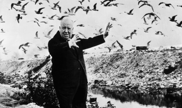 Alfred Hitchcock is directing a dramatic scene outdoors with flying birds in the background, 2K Desktop Wallpaper