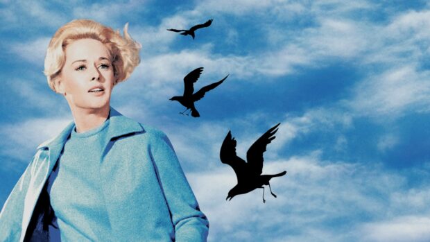 A woman looks anxiously at flying birds against the sky in this Alfred Hitchcock scene, 4K Desktop Wallpaper
