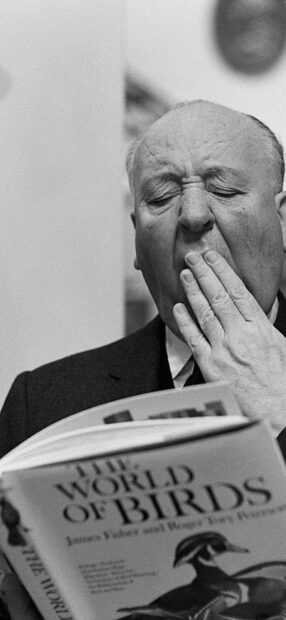 Alfred Hitchcock is yawning as he reads a book titled The World of Birds, HD Mobile Wallpaper